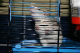 RAT
